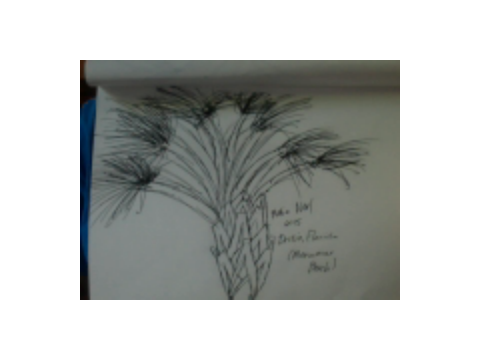 What Happens When I Am Bored