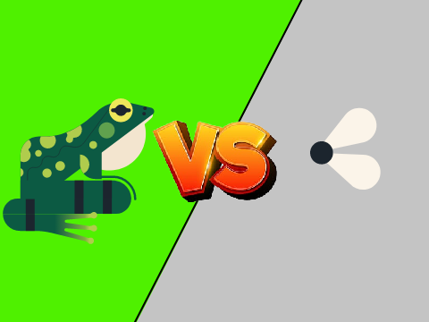 Frog VS Fly
