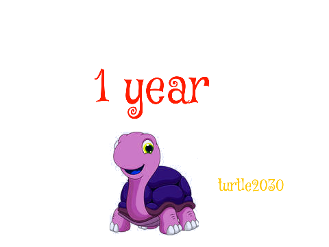 1 year