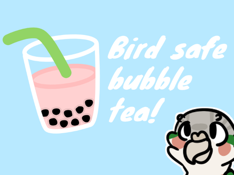 How to make bubble tea for birds!