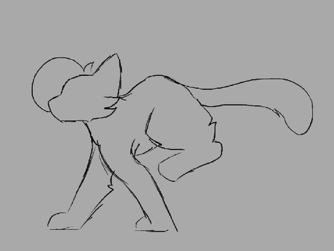 Cat Runcycle