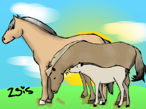 Horses for @fireolbydoom