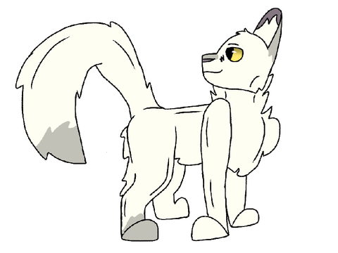 Whitestorm