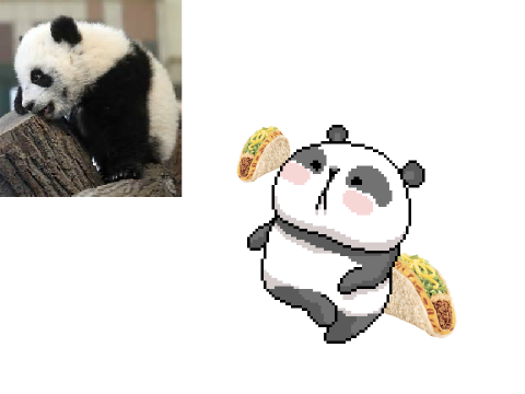 giant pandas