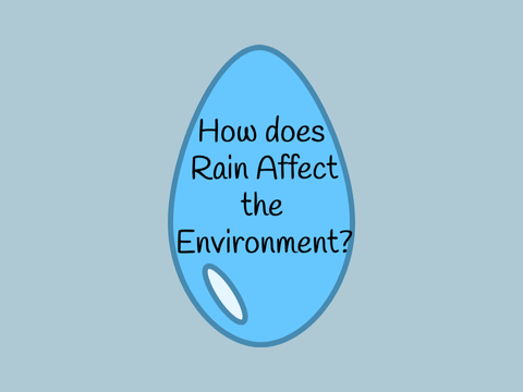 How does Rain Affect the Environment?