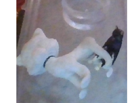 Making my oc out of clay! Part 2: Legs and base coat of paint on head