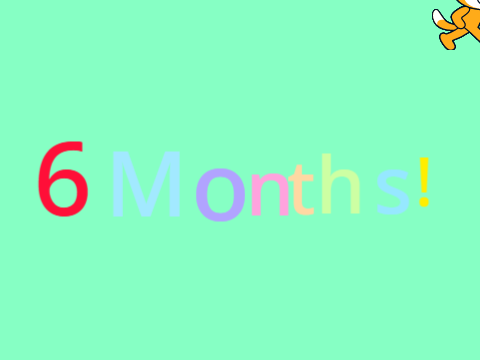 6 months! Pls Celebrate me! @chitchatcat10 , @Blackcat_fan4ever @-Lunar_Dream- @-Artistic-Chloe- !