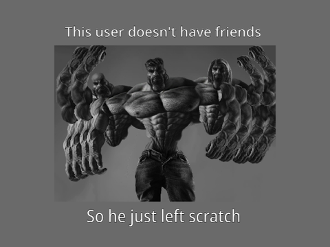 This user doesn't have friends (FINAL PROJECT)