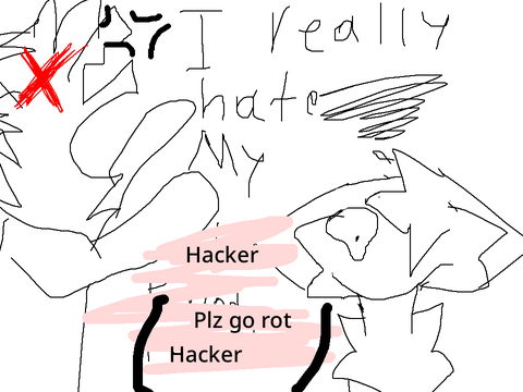 I really hate my hacker