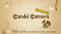 canimals_candid_camera.mpeg-2