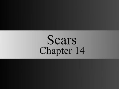 Scars // Chapter 14