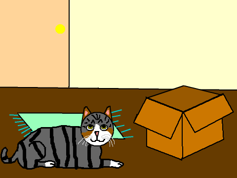 Maru and the box