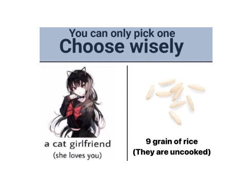 the ultimate question