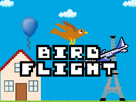 Bird flight