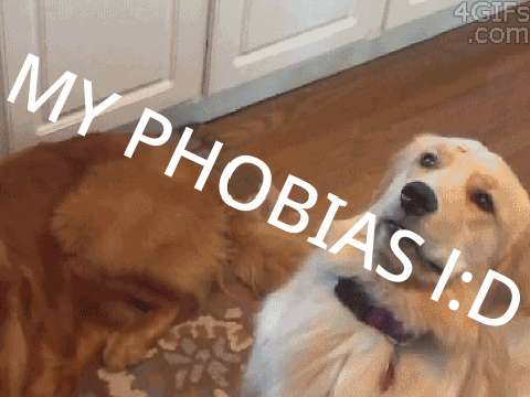 MY PHOBIAS l:D