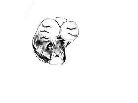 random art