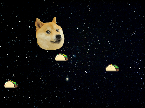 Floating taco doge
