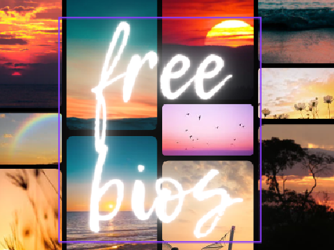Free bios