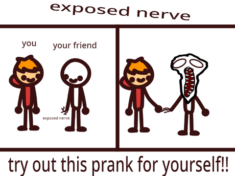 nerve