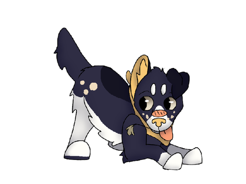 DTAE for farm pup