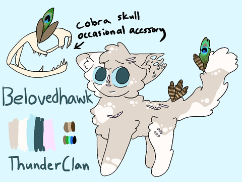 Official Belovedhawk ref 2022 (current)