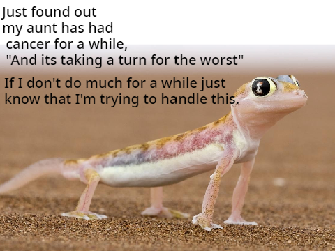 IMPORTANT Announcement