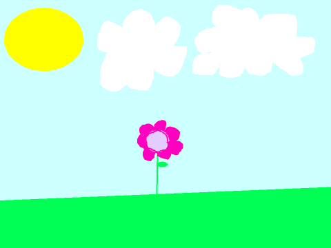 Sunny Day 