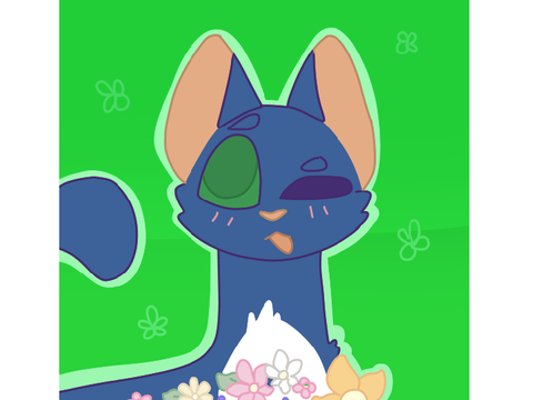 Gift 4 pdhh2020!!!