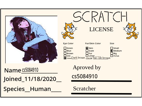 My official scratch license