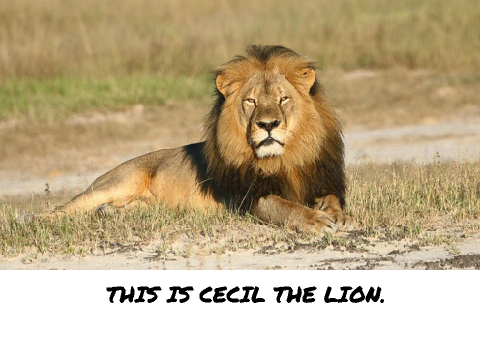SIGN HERE FOR CECIL THE LION!!!