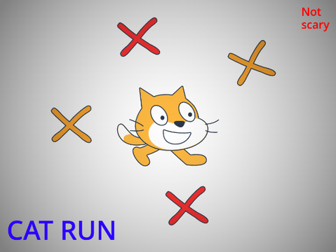 Cat run