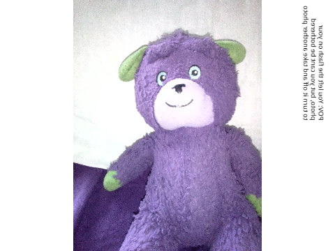 Since the first MONTH of my life ive had this guy