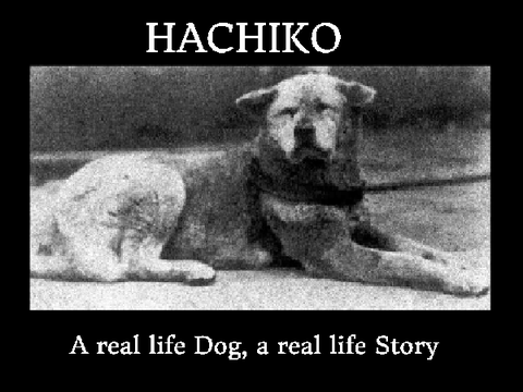 Hachiko - a real life story 