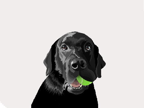 Drawing Contest Entry