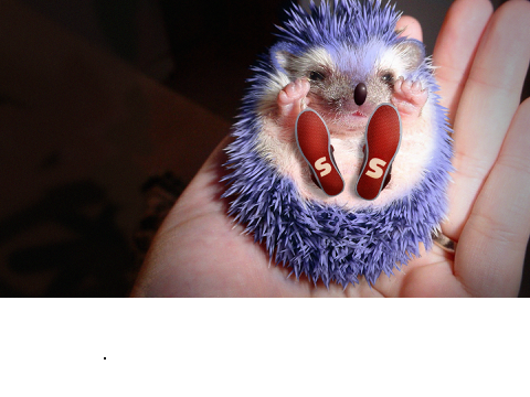 5 Things Wrong with Sonic the Hedgehog