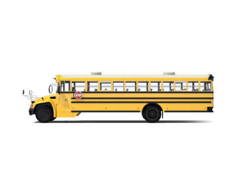 The School Bus