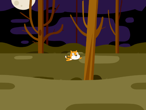 Cat on a mission