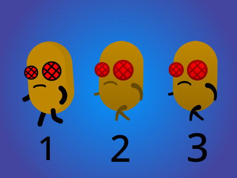 All Basic Bug Animations (minus the death)