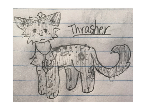 WindClan Doodles cuz yes