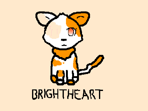 I have adopted a warrior cat