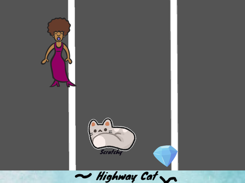 Highway cat