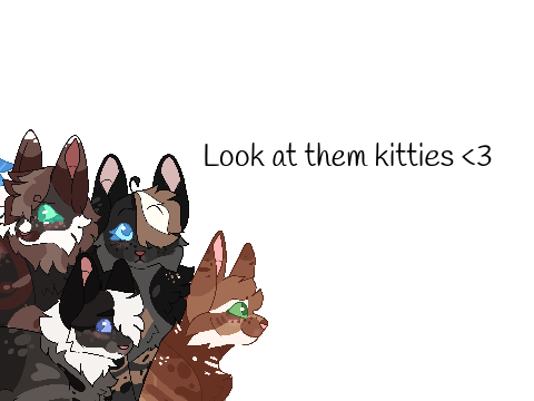 { Vibrant Vesper }{ Litter Request }