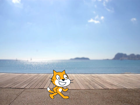 Cat on boardwalk