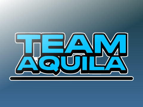 TIS4 - Round 1 #TeamAquila