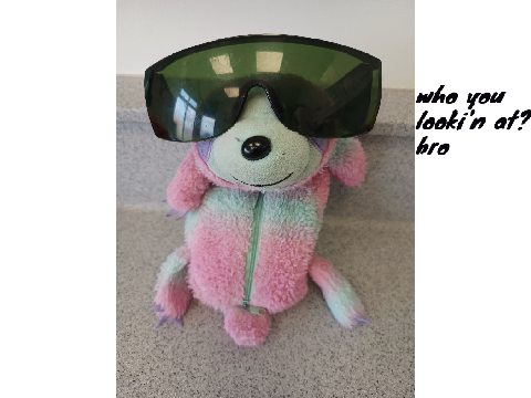 Like if you love this sloth toy