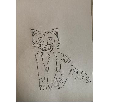 Project thumbnail