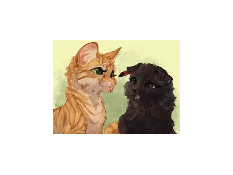 my warrior cats fanart