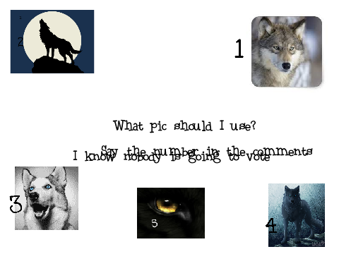 What pic should I use?