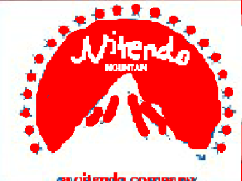 N\S Network 2\Nitendo Mountain Television (2002)