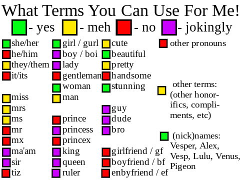 Little Boundaries Thing